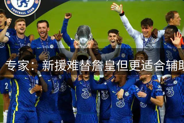 专家：新援难替詹皇但更适合辅助东契奇